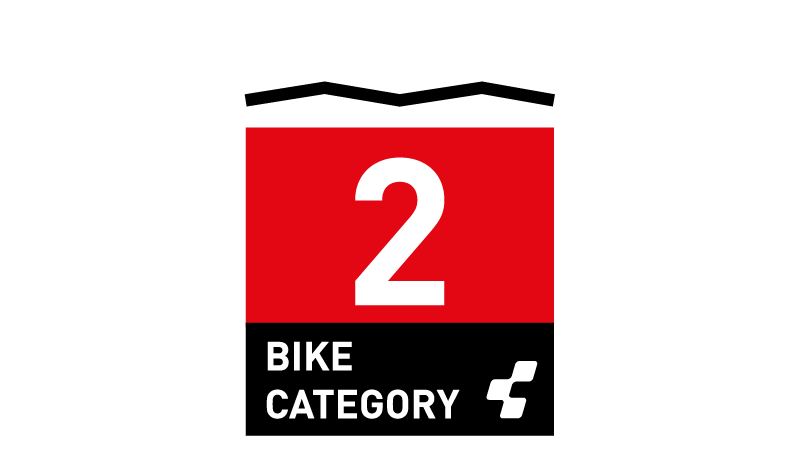 CUBE Bike Category 2: Piktogramm