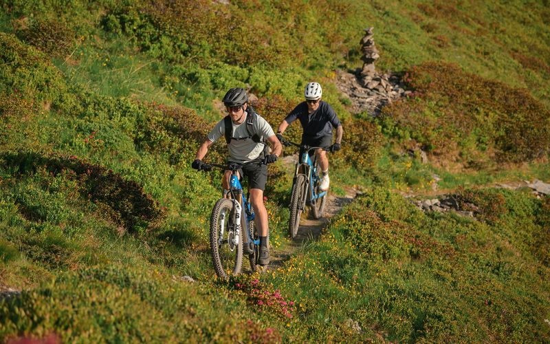 Zwei Mountainbiker fahren auf CUBE Bikes einen grünen Hang hinauf